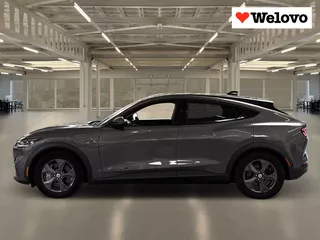 Ford Mustang Mach-E Extended RWD 98 kWh Grote Accu ! Alle Opties !