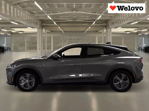 Ford Mustang Mach-E Extended RWD 98 kWh Grote Accu ! Alle Opties !